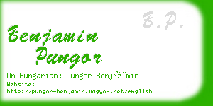 benjamin pungor business card